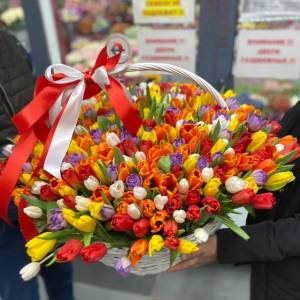 Корзина цветов, 251 разноцветный тюльпан R995