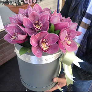 11 крупных розовых орхидей в коробке R788