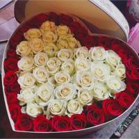 51 белая и красная роза в виде сердца R844